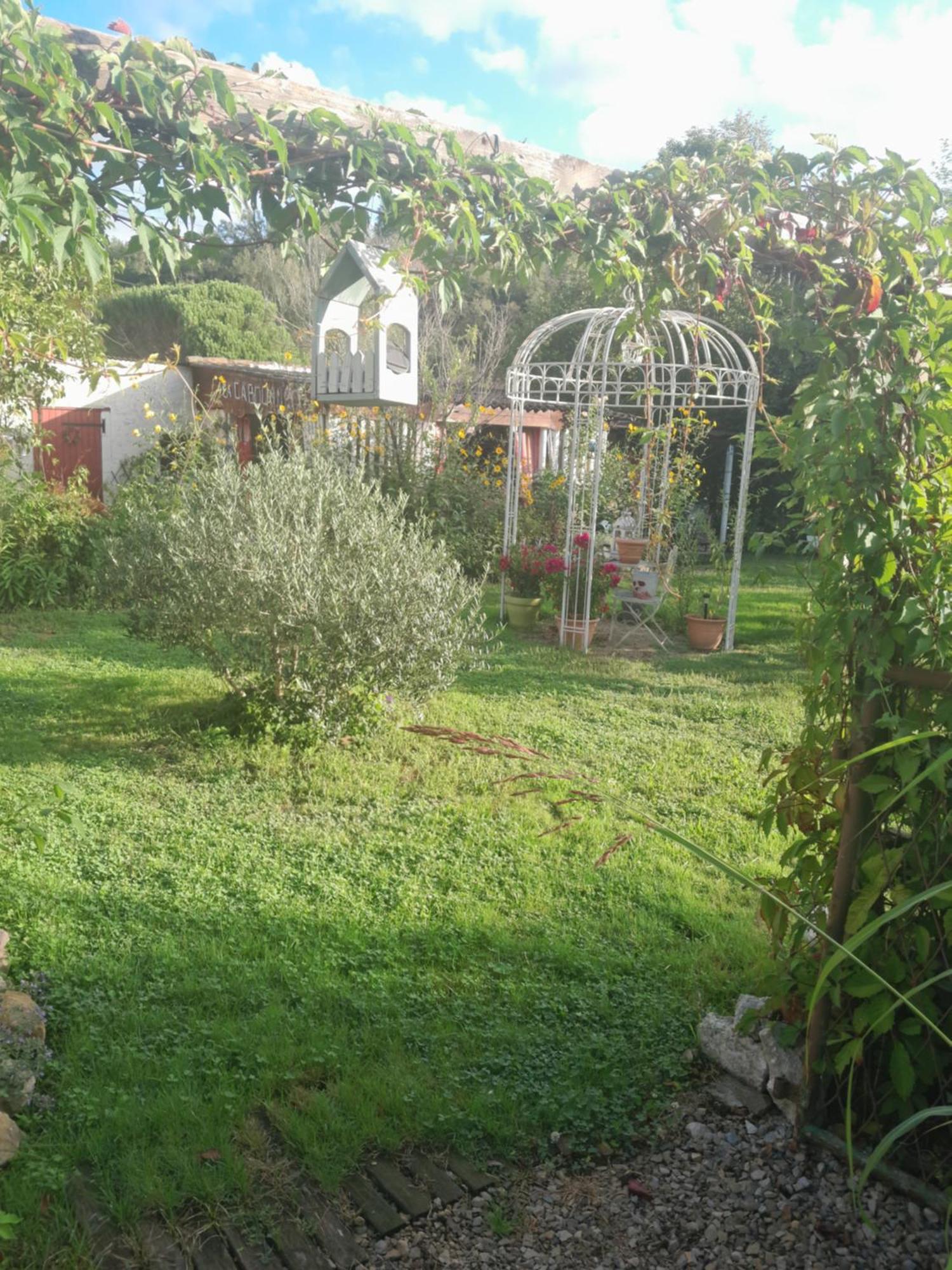 Chambre D'Hote Amitie Et Jardin Carmaux Buitenkant foto