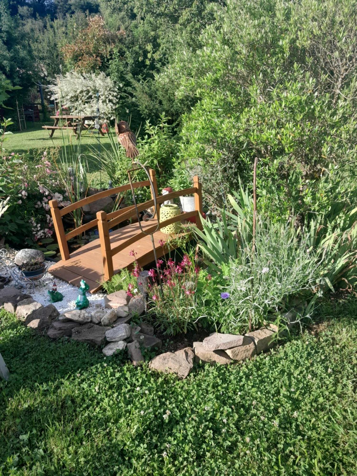 Chambre D'Hote Amitie Et Jardin Carmaux Buitenkant foto