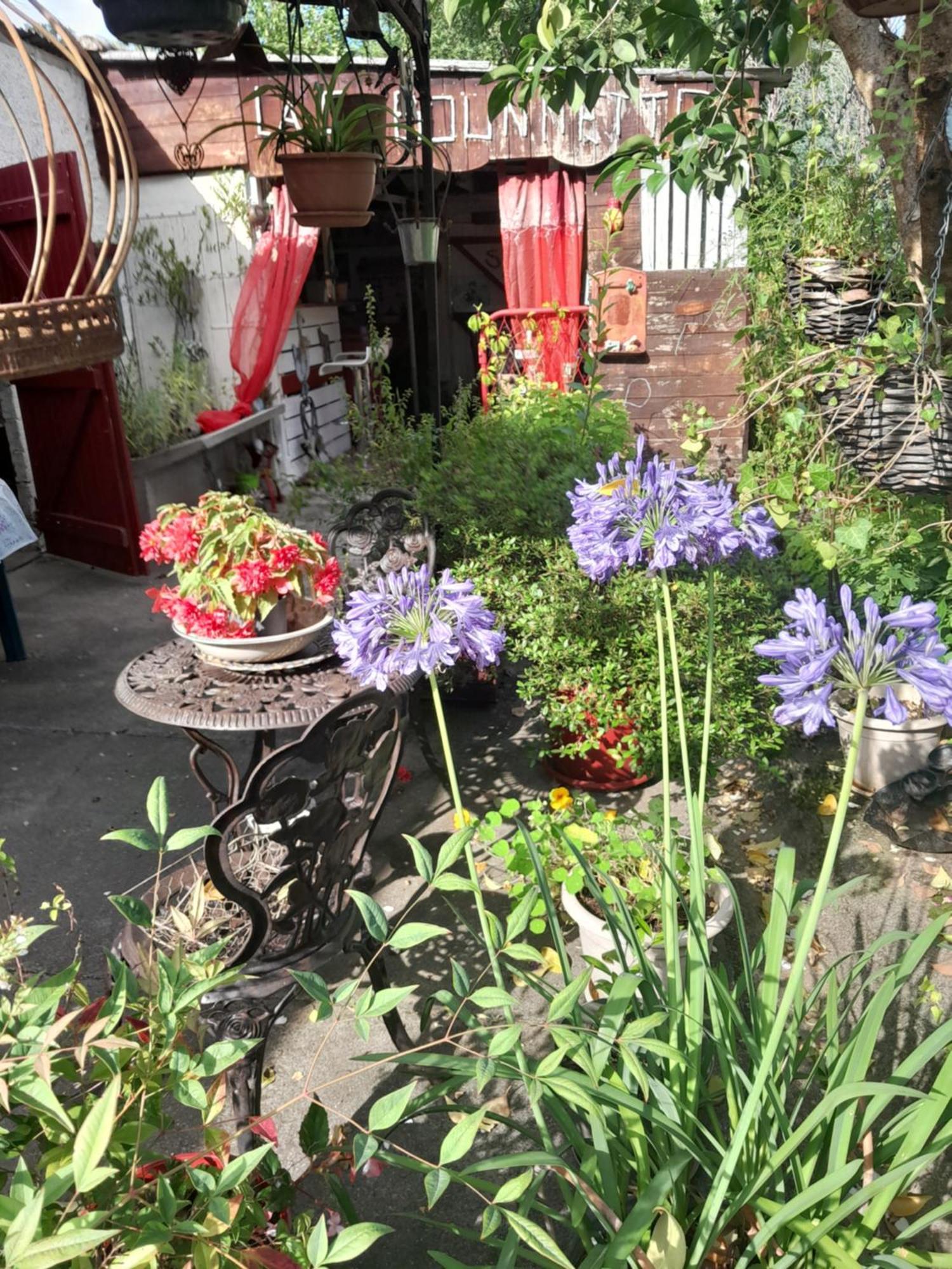 Chambre D'Hote Amitie Et Jardin Carmaux Buitenkant foto